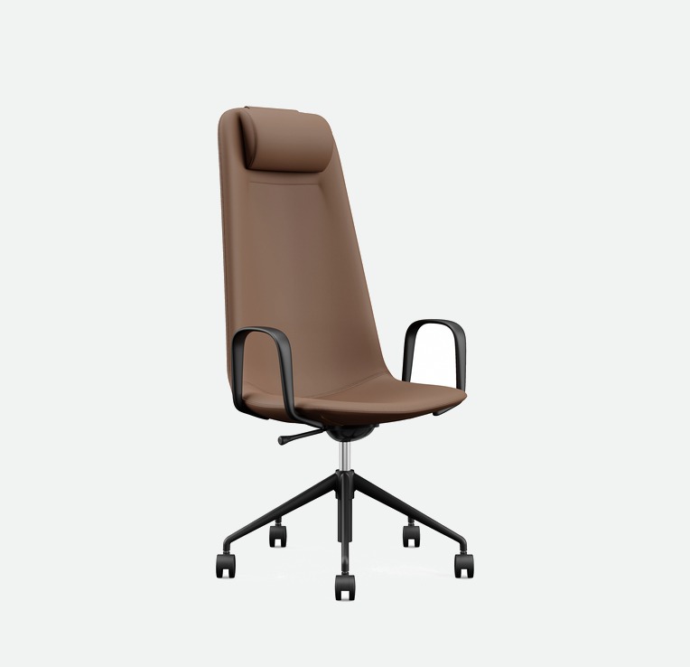 Elara Executive Back