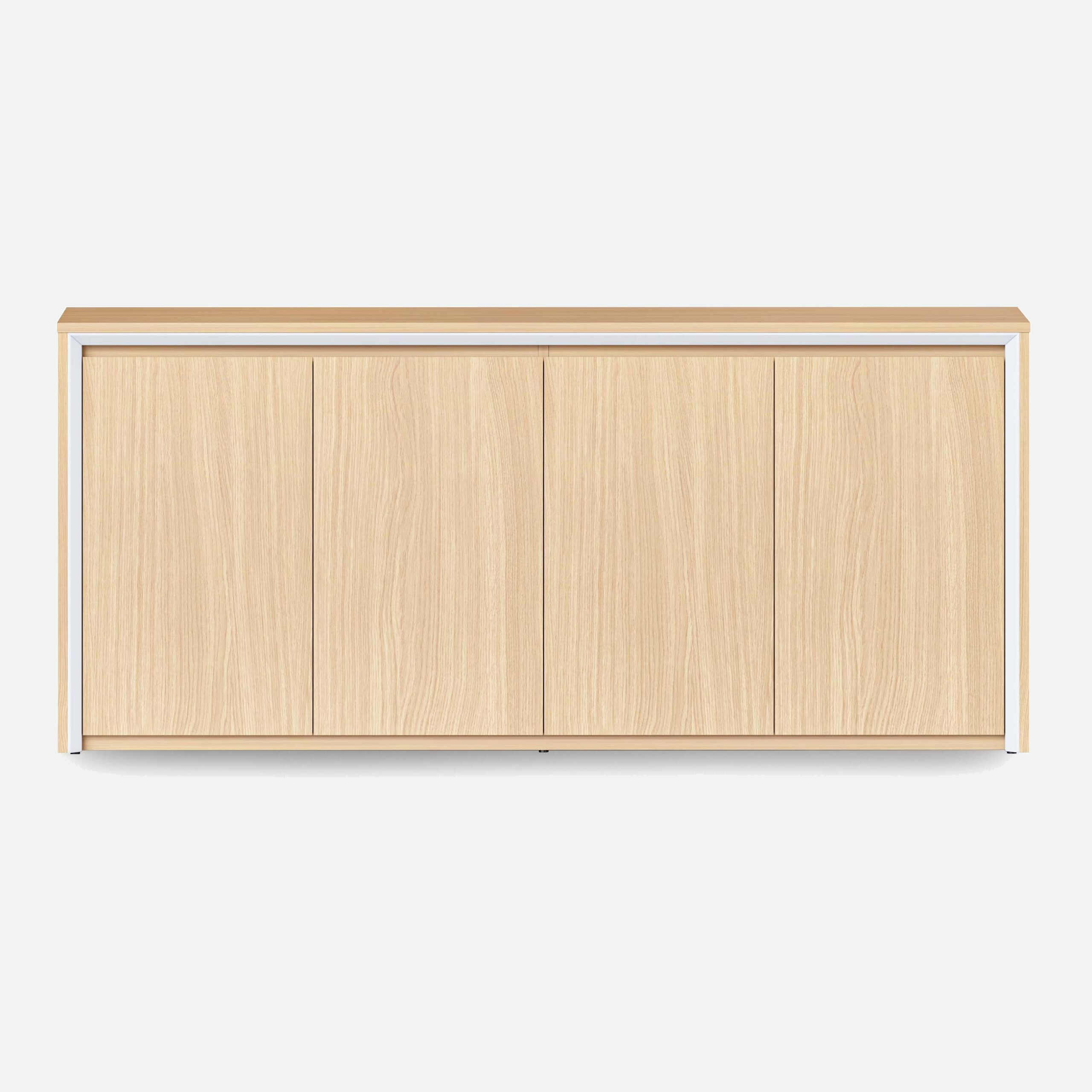 Swing Door Cupboard
