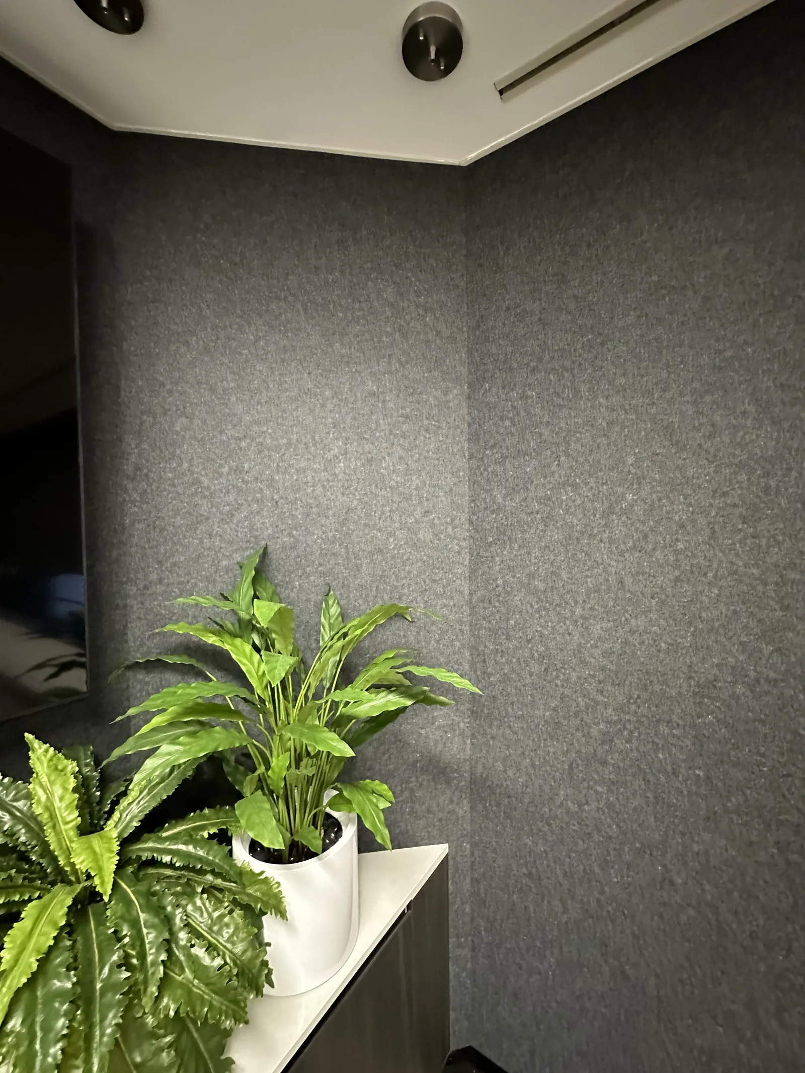 Cube Plain acoustic panels at the boardroom corner — Brisbane CBD