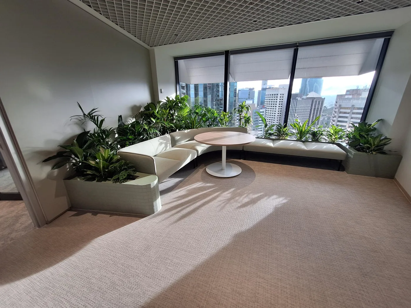 Open-grid acoustic ceiling over a planted breakout seating area