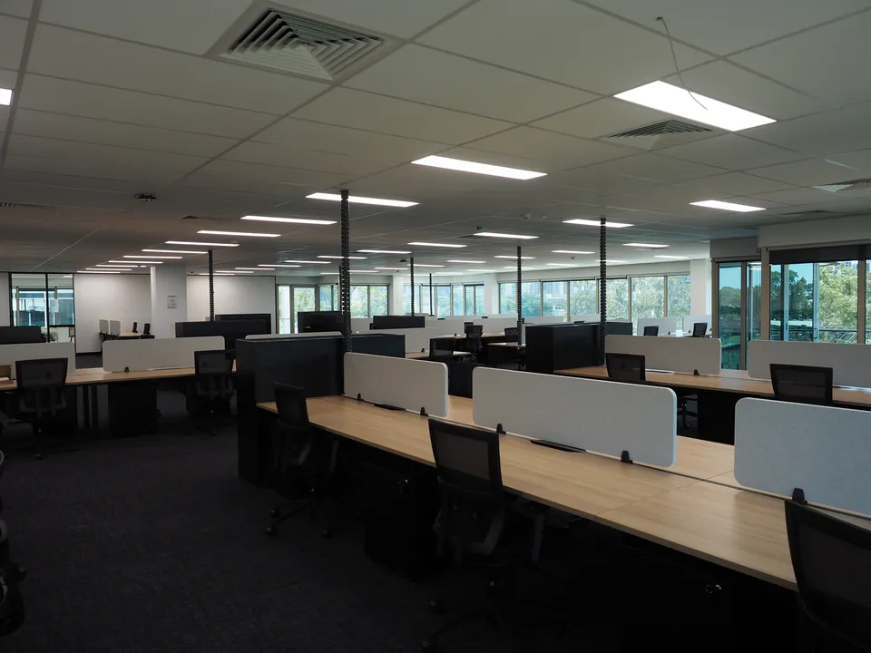 Long view down rows of timber-look workstations with grey acoustic desk screens and black cable risers
